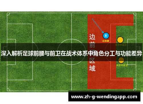 深入解析足球前腰与前卫在战术体系中角色分工与功能差异