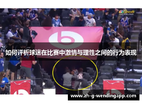 如何评析球迷在比赛中激情与理性之间的行为表现