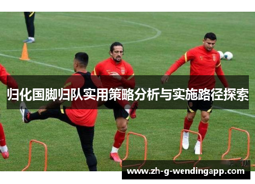 归化国脚归队实用策略分析与实施路径探索