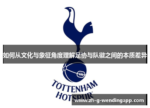 如何从文化与象征角度理解足协与队徽之间的本质差异 如何从文化与象征角度理解足协与队徽之间的本质差异