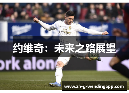 约维奇:未来之路展望 约维奇:未来之路展望