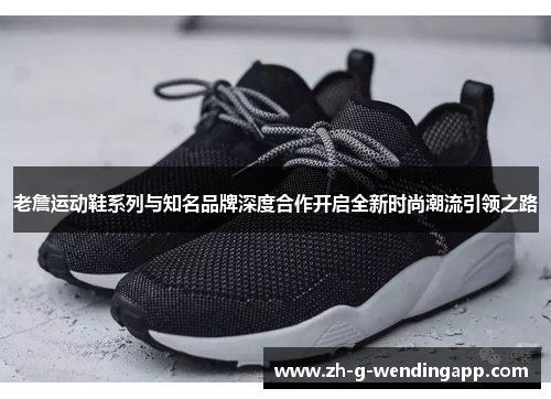 老詹运动鞋系列与知名品牌深度合作开启全新时尚潮流引领之路 老詹运动鞋系列与知名品牌深度合作开启全新时尚潮流引领之路