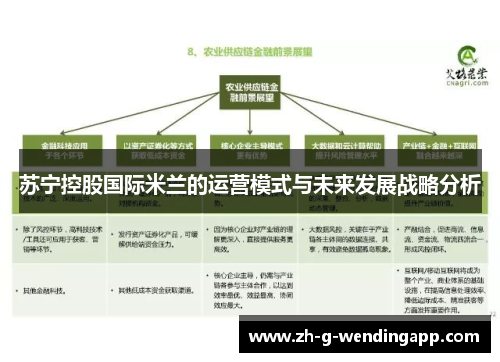 苏宁控股国际米兰的运营模式与未来发展战略分析 苏宁控股国际米兰的运营模式与未来发展战略分析