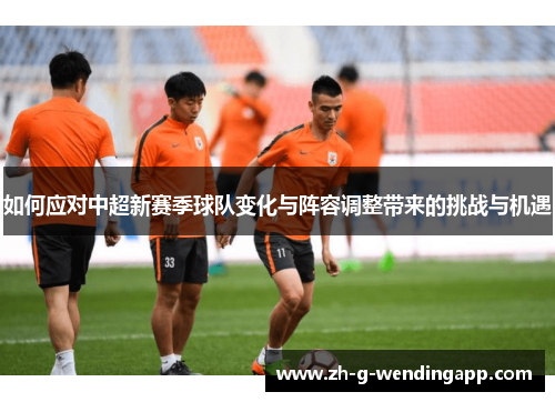 如何应对中超新赛季球队变化与阵容调整带来的挑战与机遇