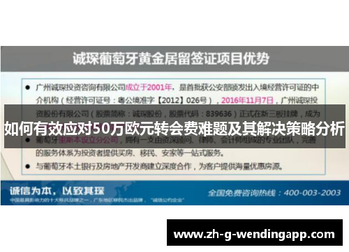 如何有效应对50万欧元转会费难题及其解决策略分析