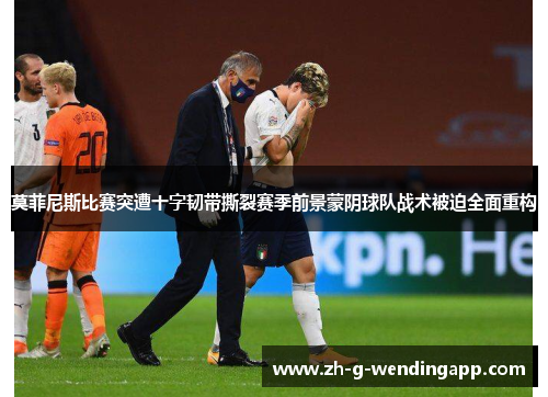 莫菲尼斯比赛突遭十字韧带撕裂赛季前景蒙阴球队战术被迫全面重构