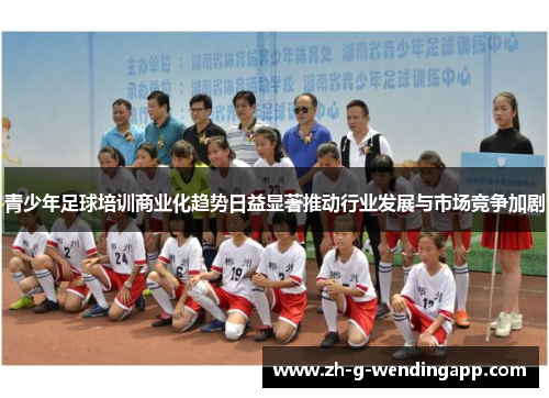 青少年足球培训商业化趋势日益显著推动行业发展与市场竞争加剧 青少年足球培训商业化趋势日益显著推动行业发展与市场竞争加剧
