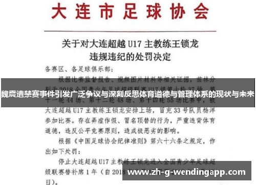 魏震遭禁赛事件引发广泛争议与深刻反思体育道德与管理体系的现状与未来