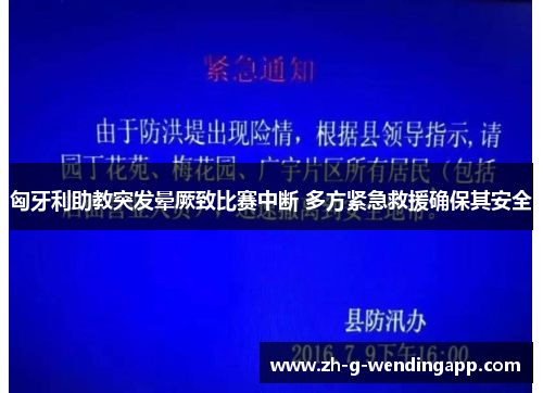 匈牙利助教突发晕厥致比赛中断 多方紧急救援确保其安全 匈牙利助教突发晕厥致比赛中断 多方紧急救援确保其安全