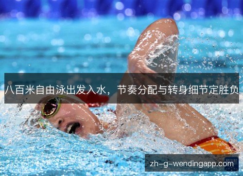 八百米自由泳出发入水，节奏分配与转身细节定胜负