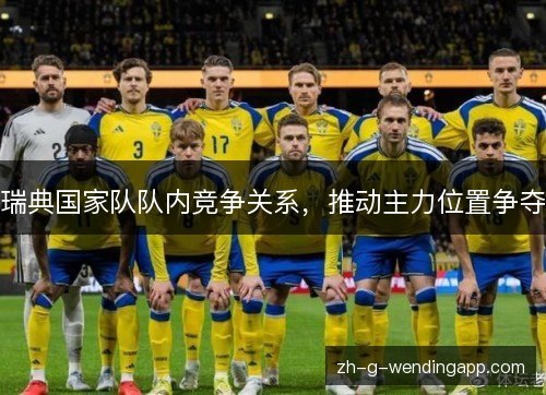 瑞典国家队队内竞争关系,推动主力位置争夺 瑞典国家队队内竞争关系,推动主力位置争夺